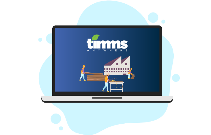 TIMMSAnywhere V18 - Sales Order Process